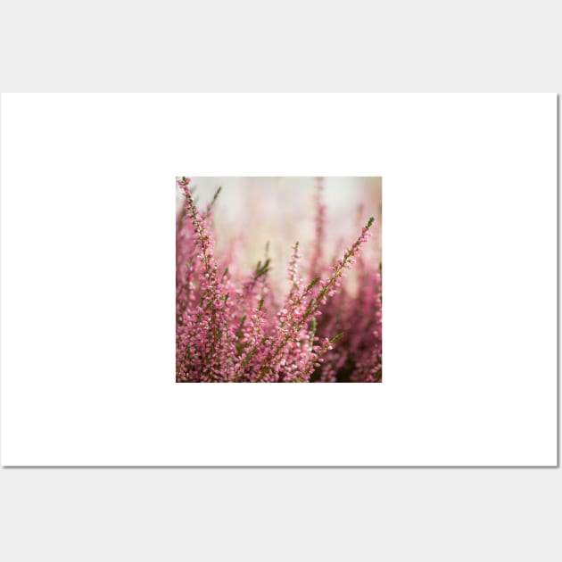 Calluna Wall Art by ansaharju